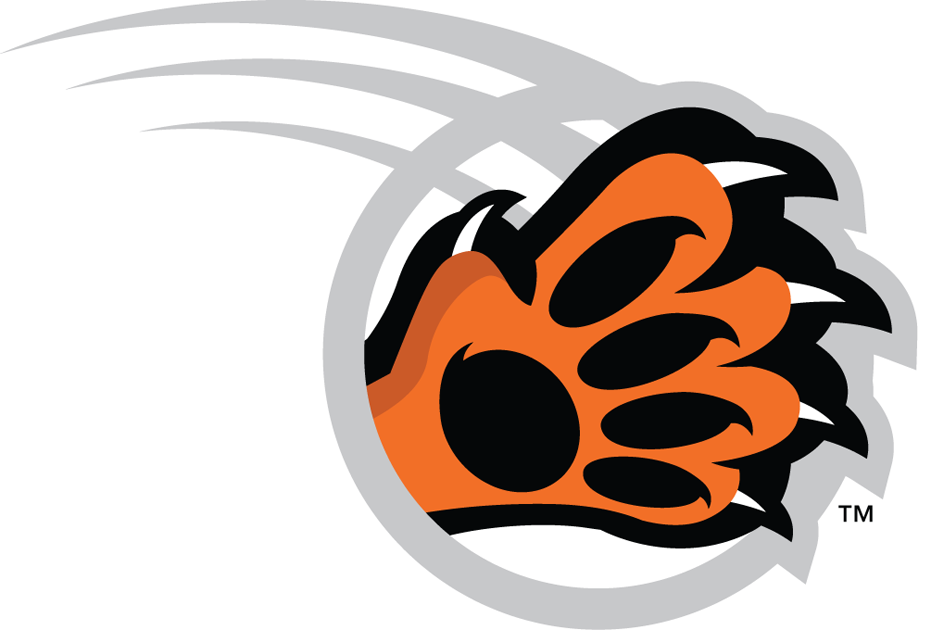 RIT Tigers 2004-Pres Alternate Logo v4 DIY iron on transfer (heat transfer)